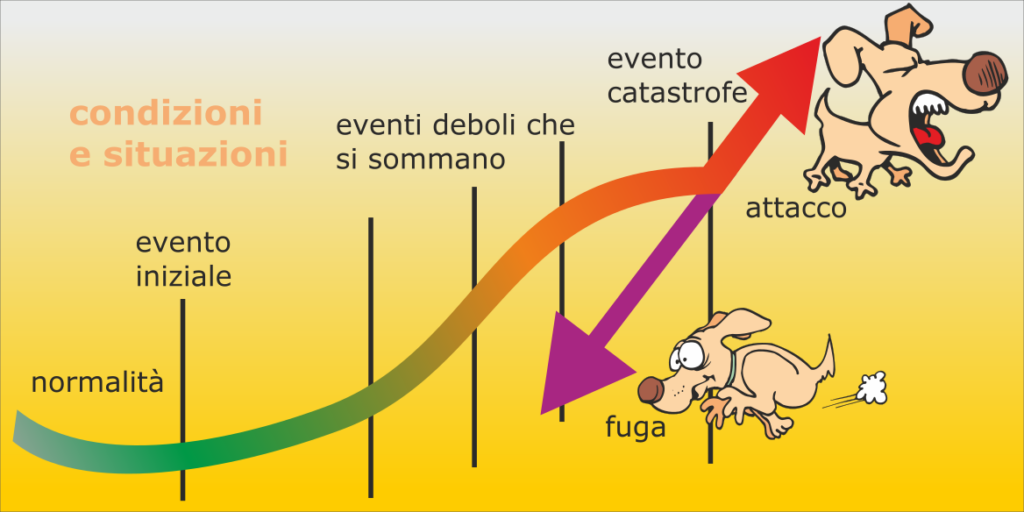 teoria delle catastrofi