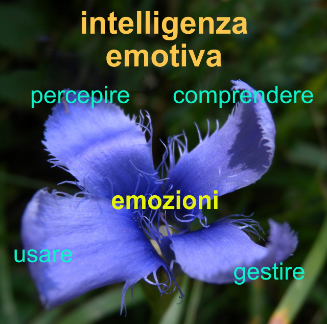 intelligenza emotiva