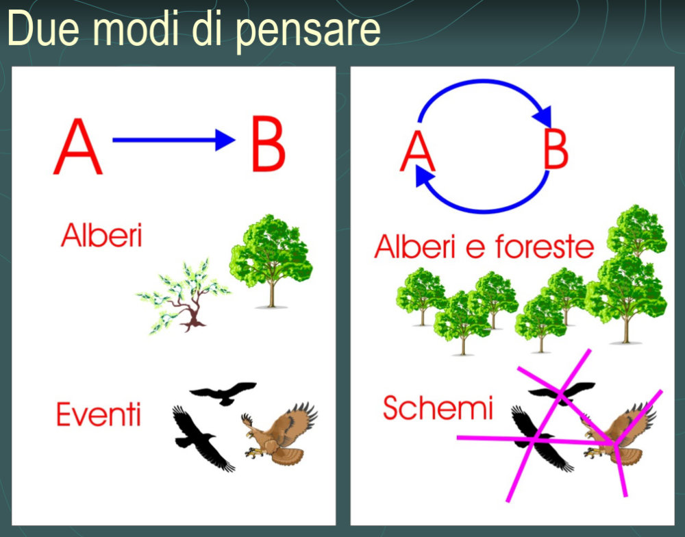 pensiero sistemico