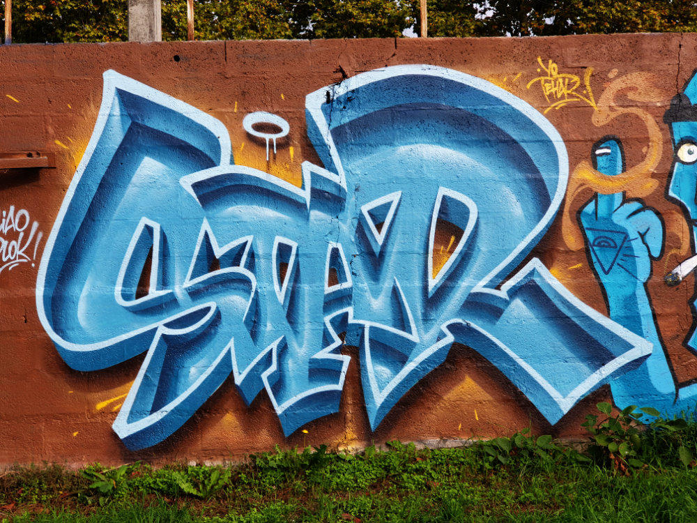 graffito a thorigny (foto u. santucci)