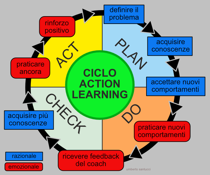 action learning e pdca
