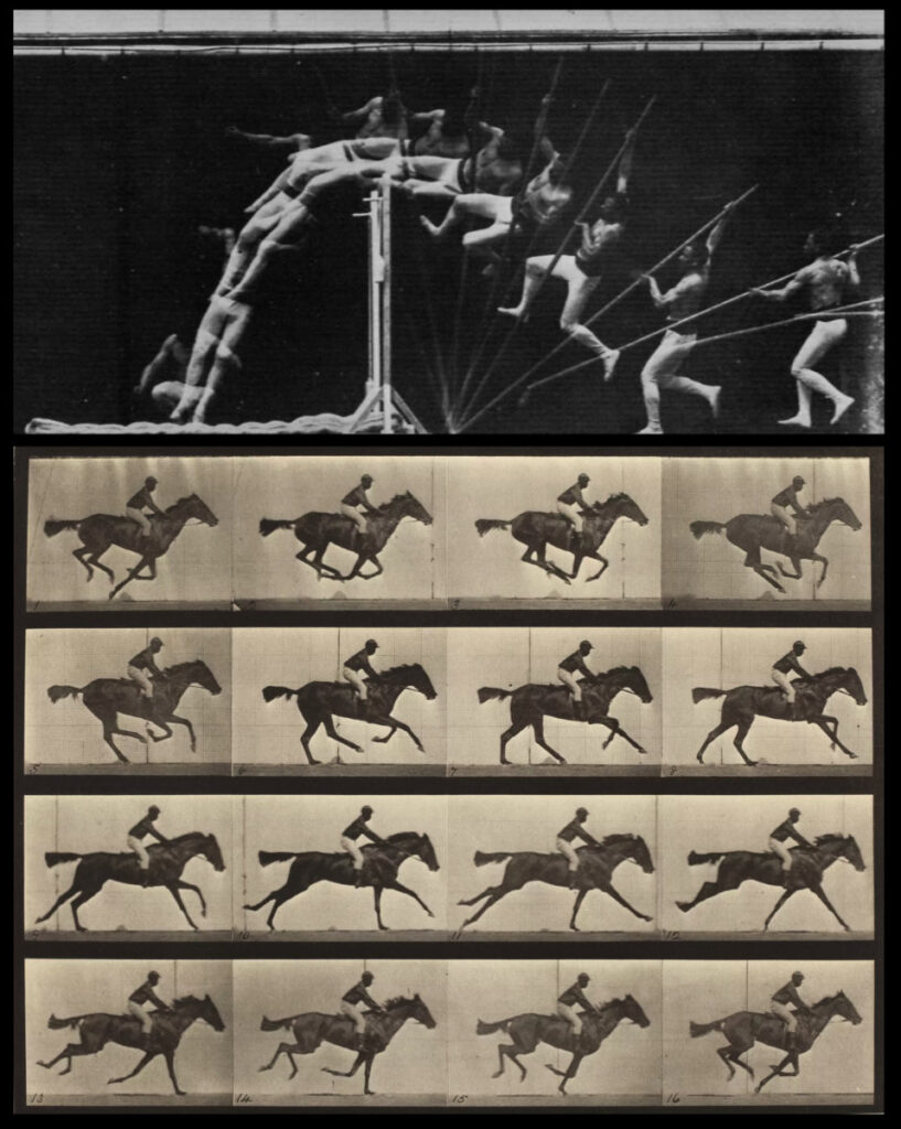 Marey e muybridge