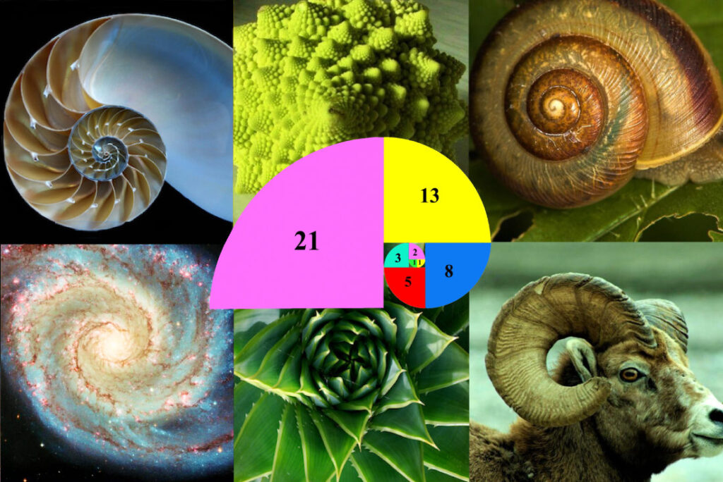 serie di Fibonacci