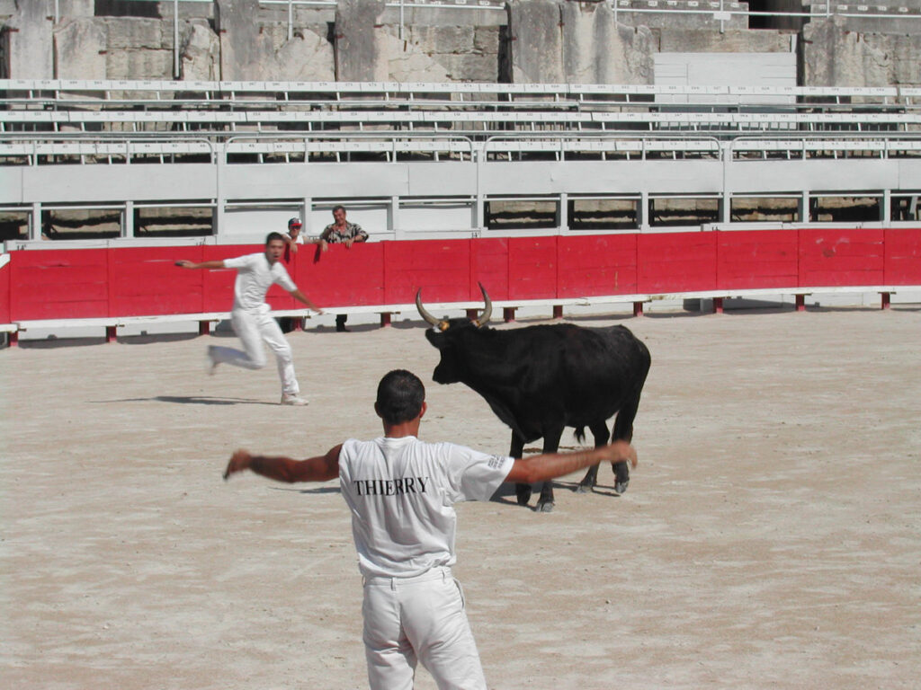 course ccamarguaise - foto umberto santucci