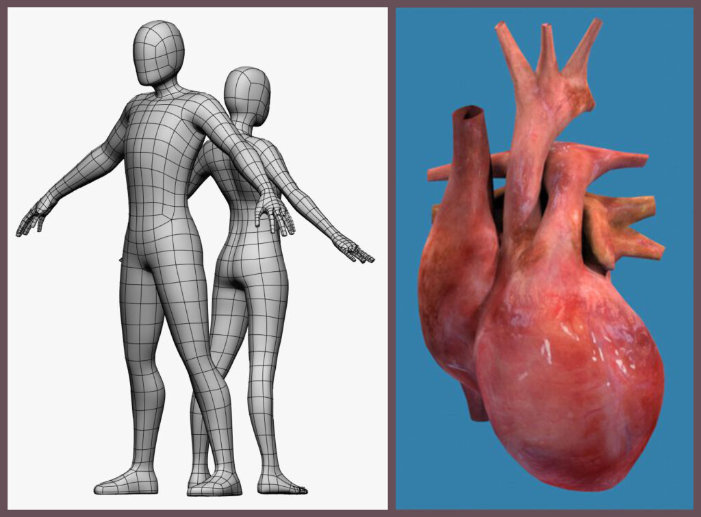 modelli 3d riusabili