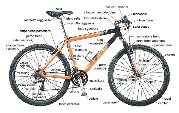nomenclatura della bici